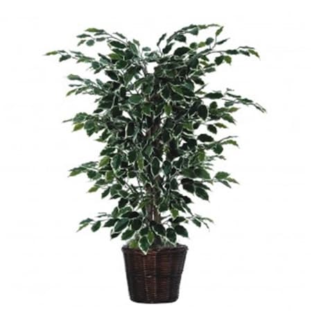 Dare2Decor 4 ft. Variegated Ficus Bush DA140407
